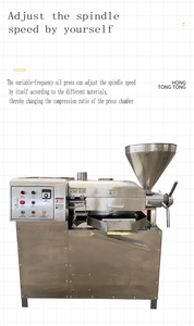 Máquina Eléctrica para Prensar Aceite de Piñones en Frío, de Grado Alimenticio, Pequeña, Fácil de Limpiar, para el Hogar - Product Image 5