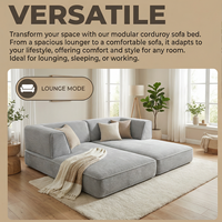Sofá Cama Futón Moderno para Sala de Estar, Pequeño, sin Estructura, de Espuma Comprimida, Diseño de Suelo, Mueble Perezoso