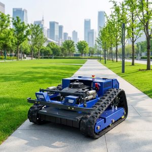 จัดส่งฟรี เครื่องตัดหญ้าแบบ All-terrain RC ได้รับมาตรฐาน CE EPA, เครื่องตัดหญ้าหุ่นยนต์บังคับวิทยุแบบติดตั้งบนแทร็กพร้อมใบมีด - Product Image 1