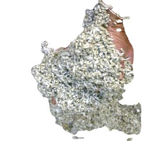 Acheter des coques de graines de coton de haute qualité Prix/Farine de graines de coton (Aliment pour animaux) - Product Image 1