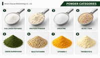 Poudre pré-entraînement saveur pastèque, complément nutritionnel sportif, 441 g, OEM ODM, marque privée, vente en gros, directement de l'usine