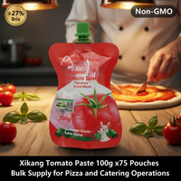 Pâte de Tomate en Sachet 100g en Gros – Base de Tomate Premium Sans Additifs – Vente en Gros pour Aliments pour Enfants, Restauration et Approvisionnement en Jus de Tomate