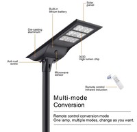 Hishine All-One Solar Street Light Grandes batteries intégrées antidéflagrantes 2 en 1 pour une utilisation sur route Meilleur lampadaire solaire extérieur