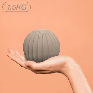 Balle lestée en silicone de 1,5 kg <span class=keywords><strong>pour</strong></span> <span class=keywords><strong>yoga</strong></span>, <span class=keywords><strong>Pilates</strong></span>, entraînement de force, balle de musculation, balles de tonification - Product Image 5