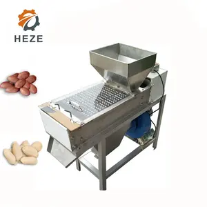 Machine d'épluchage des noix de pin trempé, haute efficacité, tremper les haricots, noix de cacao, noix de pin, spray humide pour les noix
