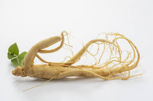 Harga Terjangkau Akar <span class=keywords><strong>Ginseng</strong></span> Amerika Alami Berkualitas Tinggi <span class=keywords><strong>Ginseng</strong></span> Amerika <span class=keywords><strong>Ginseng</strong></span> Amerika - Product Image 3