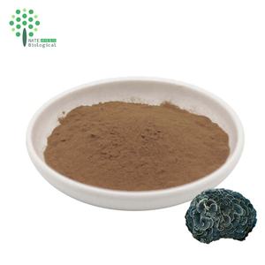 코리올루스 베르시콜로 트라메테스 베르시콜로 추출물 50% 식품 등급 비타민 버섯 가루 야생 재배 유기농 포장 드럼 - Product Image 5