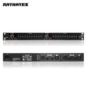 RAYHAYES 215 apparecchiature Audio professionali equalizzatore grafico a 31 bande di alta qualità con microfono Recordio - Product Image 1