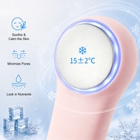 Spatule exfoliante vibrante de haute qualité pour le visage et le nez en acier inoxydable, brosse nettoyante pour les pores, échantillon gratuit disponible