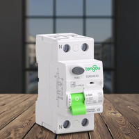 Disjoncteur différentiel RCCB RCD pour borne de recharge de véhicule électrique DC, 2P 63A 30mA Type B 10KA, montage sur rail DIN, protection contre les fuites à la terre TONGOU