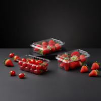 Chinese fabrikant op maat gemaakte 250g 500 aardbei-kersentomaat verpakking PET plastic clamshell doos fruitverpakking tray
