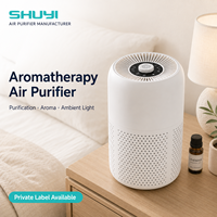 Purificateur d'air de bureau portable True HEPA prêt à l'emploi pour la maison, le bureau, la chambre des animaux, avec certifications OEM, ODM, CE, FCC