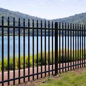 Paneles de Cerca Metálica Negra al por Mayor, <span class=keywords><strong>con</strong></span> Puntas Verticales en Forma de Lanza, Cerca de Acero Prensado, Acero Galvanizado para Jardín Exterior - Product Image 3