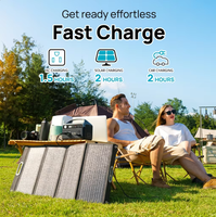 Station d'alimentation solaire portable 300W avec panneau solaire, charge sans fil, lampe de poche et onde sinusoïdale pure pour la maison, le camping et les véhicules
