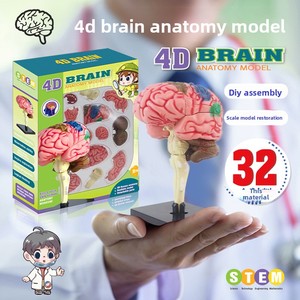 Kits de Enseñanza Médica, <span class=keywords><strong>Educación</strong></span> Temprana, Modelo 4D de Órganos, Huesos <span class=keywords><strong>y</strong></span> Cerebro Humanos, Material Plástico, Juguete Educativo de Ensamblaje DIY para Niños - Product Image 1