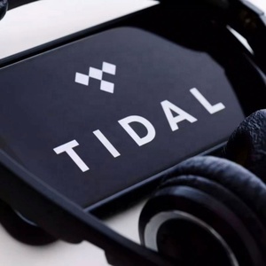 การสมัครสมาชิกเพลง Tidal Tidal แบบพิเศษ Tidal HIFI PLUS 6เดือน - Product Image 4