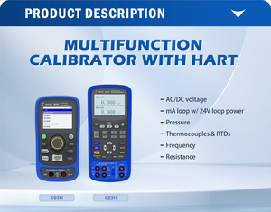 Multifunction Resistance Thermocouple Rtd Frequency Pulse Pressure Process <strong>Calibrator</strong> - Product Image 5