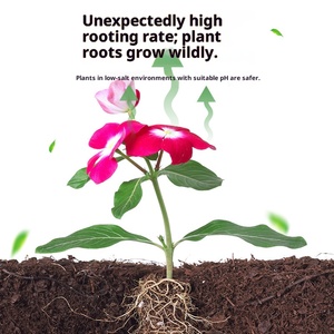 Terre nutritive universelle en brique de coco à faible teneur en sel pour la plantation de fleurs et de légumes - Product Image 5