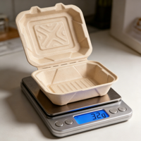 Boîte à lunch biodégradable en bagasse de canne à sucre, jetable, micro-ondable et recyclable