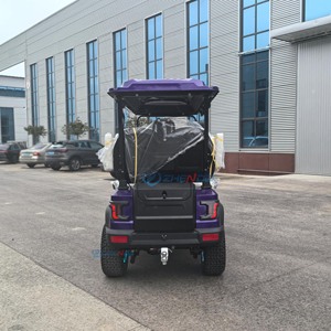 Voitures de golf électriques 4 places à prix abordables, buggy à vendre à bas prix, voiturette de golf à grandes roues violettes éclairées, chariot de golf au lithium - Product Image 3