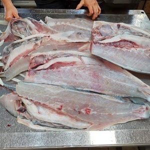 Machine automatique de découpe de filets de poisson FGB-180, machine à fendre le saumon, machine à découper les filets de pollack, machine à découper les filets de tilapia - Product Image 4