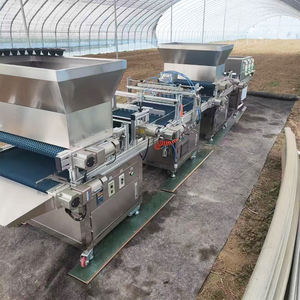 Máquina de bandeja de plántulas completamente automática de alta calidad 1-20MM Máquina mezcladora y llenadora de bandejas de sustrato de vegetales y flores - Product Image 2