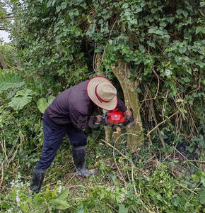 强力树木切割汽油链锯5200大功率木材切割机树木切割链锯 - Product Image 6