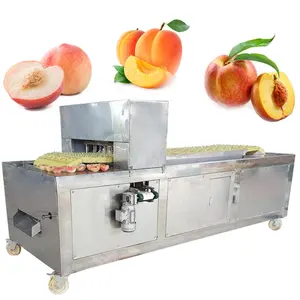 Máquina Industrial profesional de pelar fruta, cereza, melocotón, albaricoque, pera, deshuesadora, separador de semillas de pimienta de ciruela