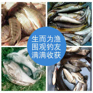 Línea de pesca de nylon Wan Jing de 0.60 mm, monofilamento transparente de alta resistencia para pesca - Product Image 5