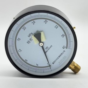 Manometro Digitale in Ottone con Funzione di Memoria e Calibrazione Accurata 0-40MPa - Product Image 1