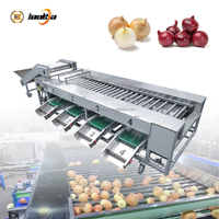 Industriële tomaten- en citrussorteermachine met automatische rollen, groente- en citrus sorteersysteem, industriële apparatuur