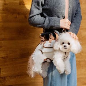 Pet Carriers Polyester Small <b>Dogs</b> Cats Luxury Fashion Warm Slings Backpacks Belt Closure Portable Crossbody Cartoon Shoulder - Product Image 5