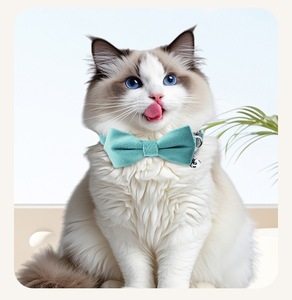 <span class=keywords><strong>Collar</strong></span> Ajustable para Mascotas con Lazo y Campana para Gatos y Perros Pequeños, Bonito y Suave, con Hebilla de Seguridad Desmontable, Venta al por Mayor Personalizada OEM - Product Image 4