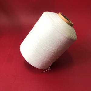 Prix usine 600D terne DTY FDY fil fil de polyester pour des chaussures supérieures - Product Image 3