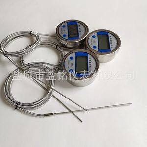 Salt Inscription Local Display Thermocouple 500 Mm Stainless Steel LCD Temperature Sensor For Industrial Use - Product Image 2