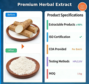 Extrait de Yam sauvage 10:1 / 20:1, extrait d'herbes naturelles, qualité alimentaire, vente en gros - Product Image 1