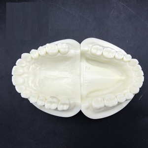 Modèle dentaire en corindon blanc HDF HST-S22, réplique pour la formation dentaire, à usage éducatif - Product Image 1
