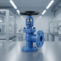 Vannes à soupape manuelles en acier moulé DIN à bon prix, type angle, haute température, pour eau, gaz, huile, applications générales, support OEM