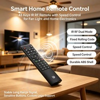 Télécommande sans fil IR RF personnalisée en usine, 43 touches, code fixe et code roulant, contrôle de vitesse, OEM ODM pour appareils électroniques