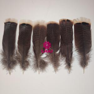 Plumas <span class=keywords><strong>de</strong></span> <span class=keywords><strong>Pavo</strong></span> Silvestre Naturales <span class=keywords><strong>de</strong></span> Diferentes Tamaños para Decoración, Venta al por Mayor <span class=keywords><strong>de</strong></span> Feather Factory, Precio Razonable, Excelente Calidad - Product Image 2