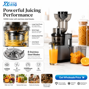 Extractor de Jugos Lento de 1200W, Acero Inoxidable, Motor de 6 Cuchillas, Diseño de 2L para Hogar, Hotel, Cocina, UE y EE. UU., Potente Motor de 1200W - Product Image 4