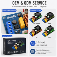Module d'amplificateur de puissance numérique professionnel 500W IRS2092S Classe D Mono HIFI avec 90% d'efficacité