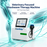 Tragbares Elektromagnetisches Fokussiertes Stoßwellengerät zur Muskelreparatur und Schmerzbehandlung Fokussierte Stoßwellentherapie-Maschine zur Schmerzlinderung
