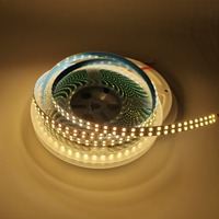 Bande lumineuse LED à double rangée SMD2835 240 LED 480 LED 15 mm Blanc 3000K/4000K/6500K Haute luminosité Étanche Flexible
