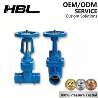 Válvula de Compuerta Ranurada de Hierro Dúctil Industrial |   Manual de Alta Gama |   Disco de Sellado Suave de EPDM |   Aprobado para Agua y Aceite |   Gama Completa de Válvulas