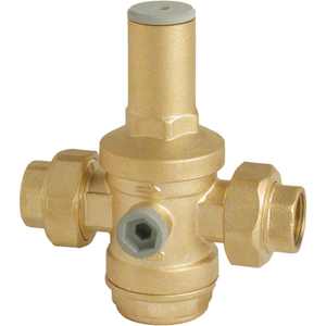 1 "1/2" PN 25เครื่องมือลดแรงดันพร้อม FF unions - Product Image 1