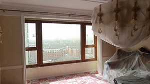 Ventanas de madera con revestimiento de aluminio para uso en sala de estar y Villa - Product Image 2