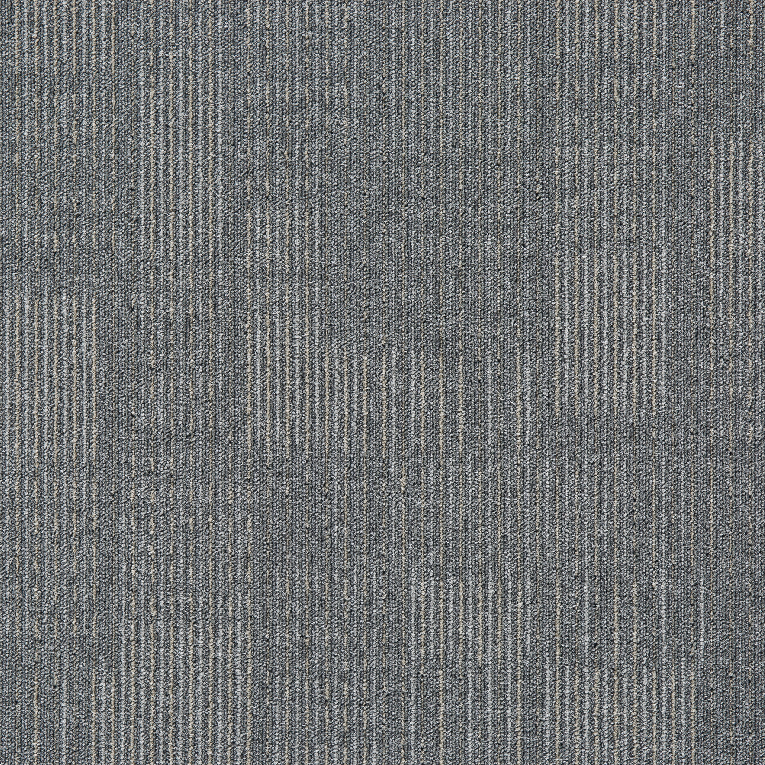 Gris09