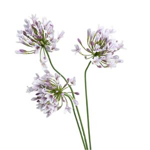 Factory Direct <strong>Sale</strong> Artificial Flowers <strong>African</strong> <strong>Violet</strong> European Floral Design Wedding Photography Decoration Materials Injection - Product Image 5