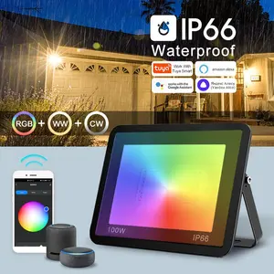 Заводская цена, Графеновый алюминиевый smd rgb Светодиодный прожектор tuya app ip66 50 Ватт rgb прожектор с Alexa Google home